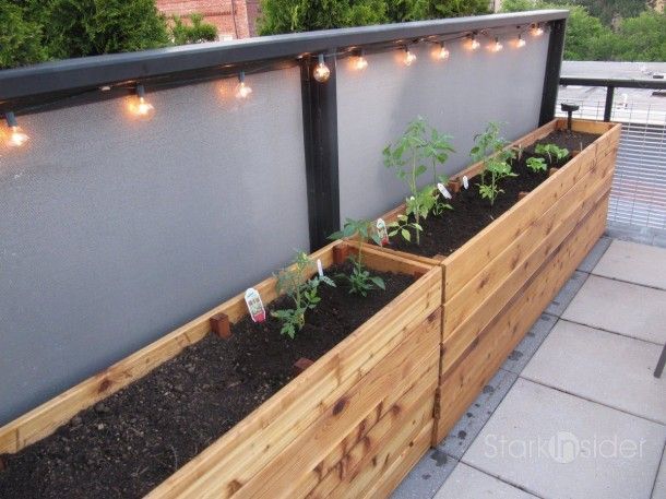 vegetable planter boxes plans | Urban Vegetable Gardening: Inspiration and how-to plans | Stark ... -   22 garden diy box
 ideas