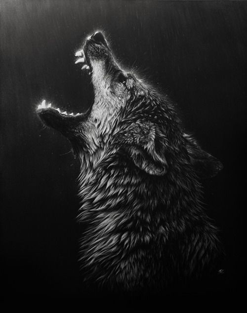Illustration inspiration -   22 growling wolf tattoo
 ideas