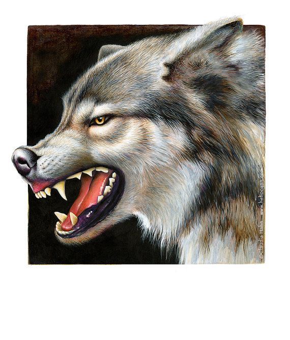PRINT 'Timber Wolf' Growling wolf -   22 growling wolf tattoo
 ideas