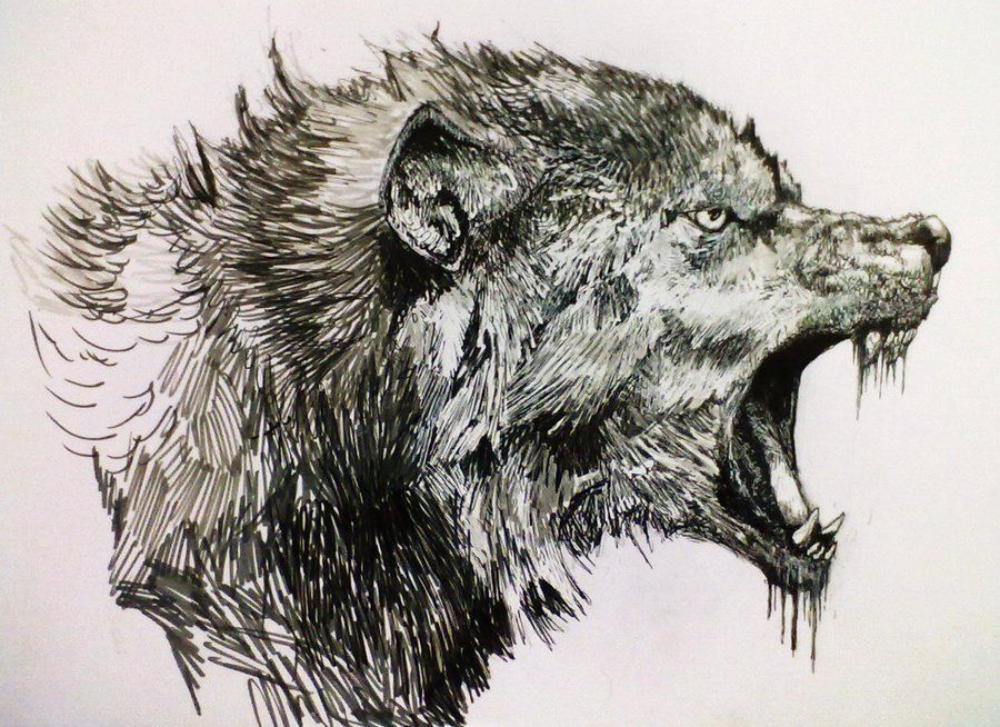 22 growling wolf tattoo
 ideas