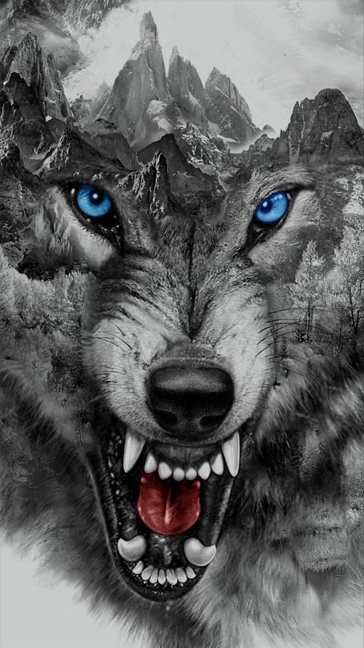 wolf growling | Snarling Wolf Large Closeup Bares Fangs Image From Tinypic Com Tags -   22 growling wolf tattoo
 ideas