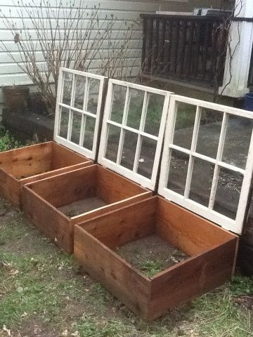 15 Cheap & Easy DIY Greenhouse Projects -   22 mini garden boxes
 ideas