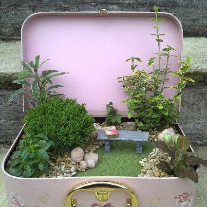 miniatuur tuin - miniature garden -   22 mini garden boxes
 ideas