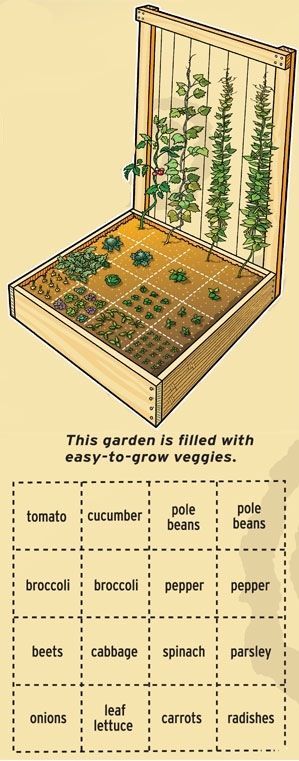 Small Space Homeschooling -   22 mini garden boxes
 ideas