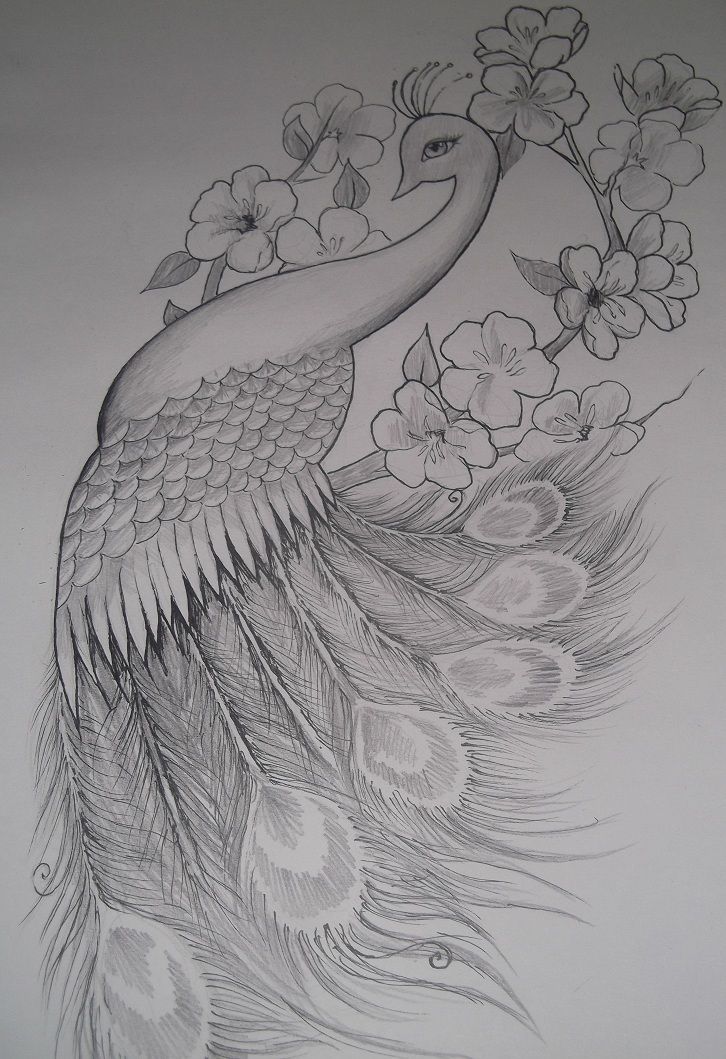 Omg. I want this on my hip. I have been searching for an awesome peacock.....    Girly Peacock Tattoo Design by ~EmilyB3545 on deviantART next tattoo? But with color? -   22 peacock thigh tattoo ideas