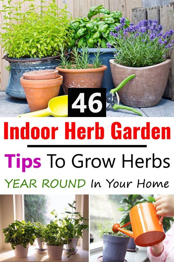 46 Indoor Herb Garden Tips To Grow Herbs YEAR ROUND In Your Home -   23 garden tips hacks ideas