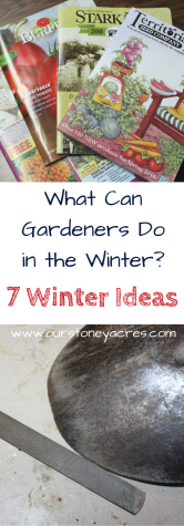What Gardeners can do in the winter time -   23 garden tips hacks ideas