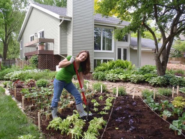 Get inexpensive gardening ideas from Shawna Coronado's '101 Organic Gardening Hacks' and the experts at DIY Network's Made Remade. -   23 garden tips hacks ideas