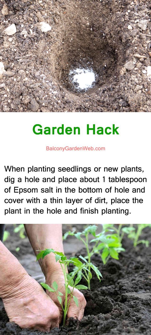22 Gardening Hacks That'll Change the Way You Garden Forever -   23 garden tips hacks ideas