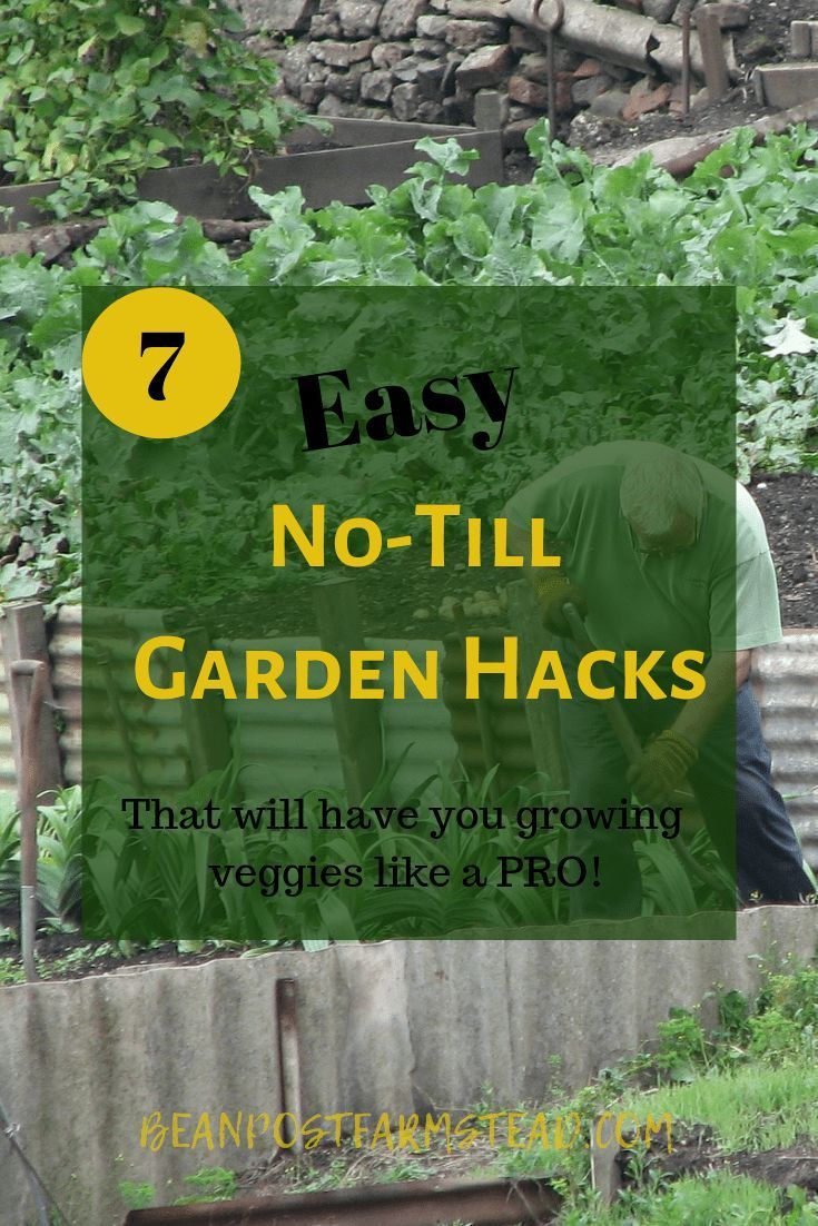 No-till garden; 7 easy methods that will give you magnificent results. Easy, quick, and cheap no-till gardening techniques -   23 garden tips hacks ideas