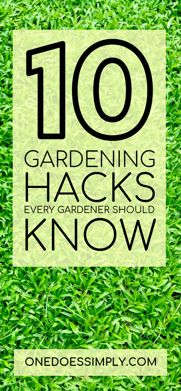 10 Brilliant Gardening Hacks You Should Try to Be A Gardening Genius -   23 garden tips hacks ideas