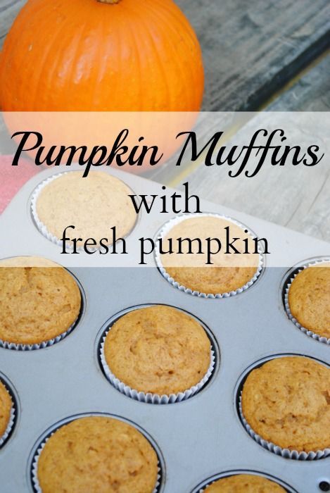 Pumpkin muffins -   24 fresh pumpkin recipes
 ideas