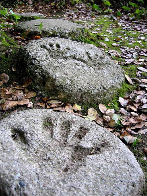 Stepping stones with children's hands or foot prints is a nice way of allowing your grandkids to feel involved.  I especially think little feet prints would be adorable! -   24 garden stones handprint
 ideas