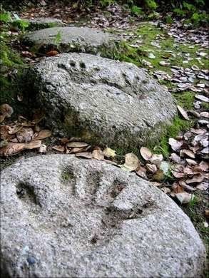 10 DIY Step Stones to Brighten Any Garden Walk -   24 garden stones handprint
 ideas