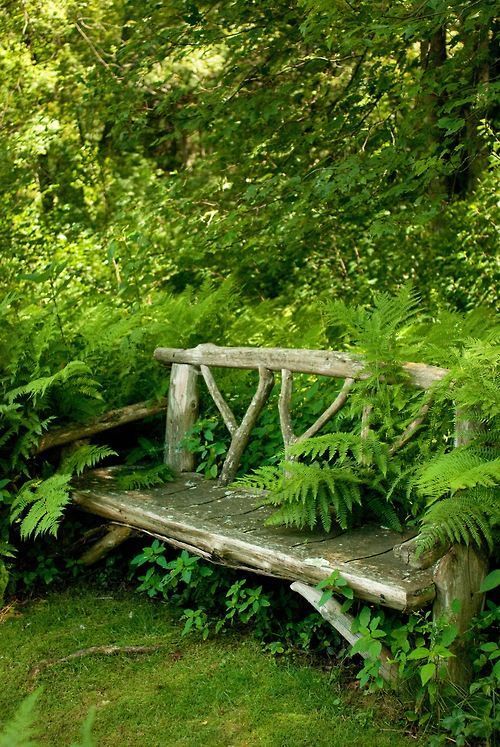 Out in the back, in a space between the cabin and the vegetable garden, there was a bench just like this. -   24 green garden bench
 ideas