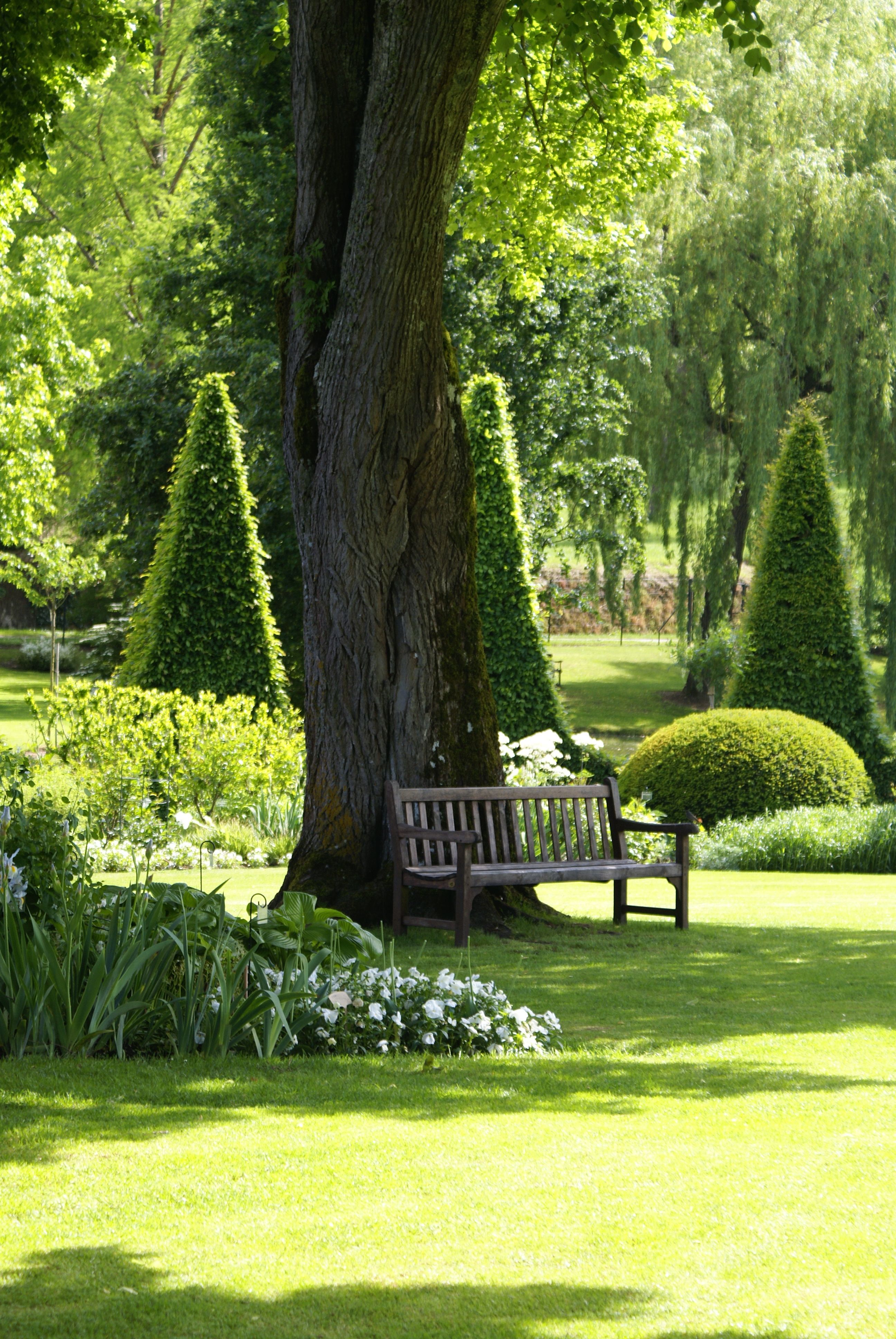 24 green garden bench
 ideas