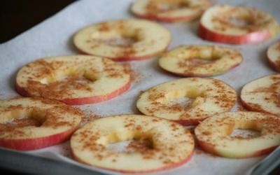 Apple Slices with Cinnamon Sauce - HCG Warrior -   24 hcg diet recipes phase 1
 ideas