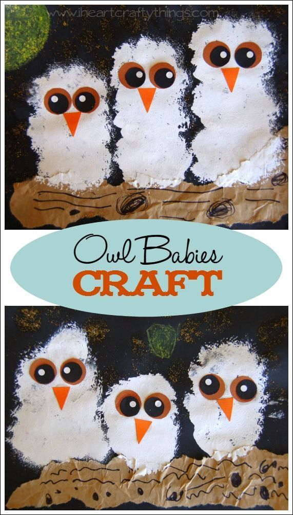 How to Make an Owl Babies Craft -   24 owl crafts kindergarten
 ideas
