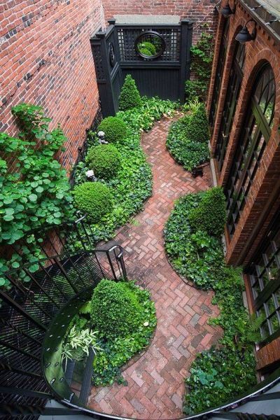 24 urban garden wall
 ideas