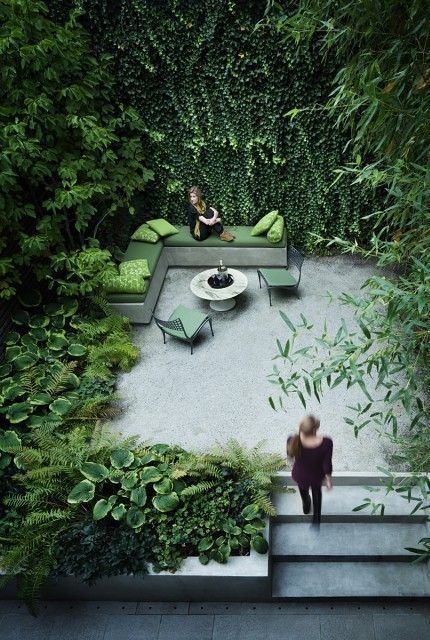 Rees Roberts + Partners -   24 urban garden wall
 ideas