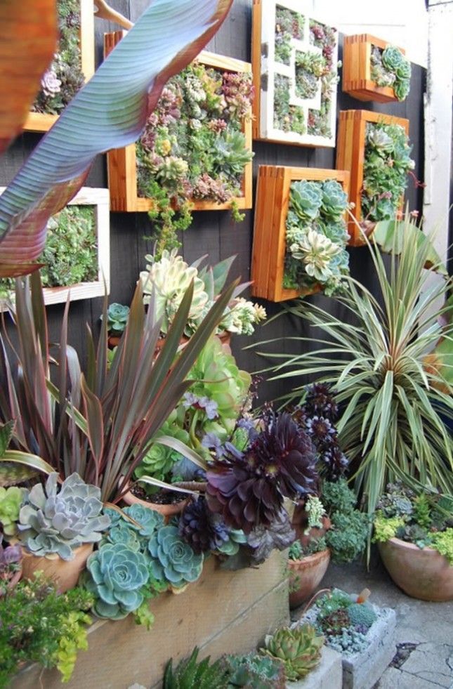 Cover up a basic fence with a DIY vertical garden. -   24 urban garden wall
 ideas