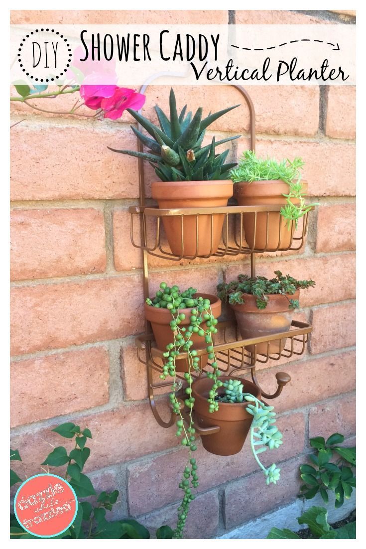 How to Use a Shower Caddy as a Vertical Planter - -   24 urban garden wall
 ideas