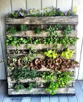 Growing salads, fruits and herbs vertically not only allows urban dwellers to grow food in small spaces, but follows the permaculture principles of stacking, using renewable resources and making the most of the edge. -   24 urban garden wall
 ideas