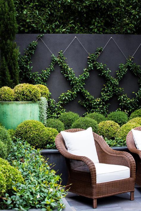 25 small garden design ideas -   24 urban garden wall
 ideas