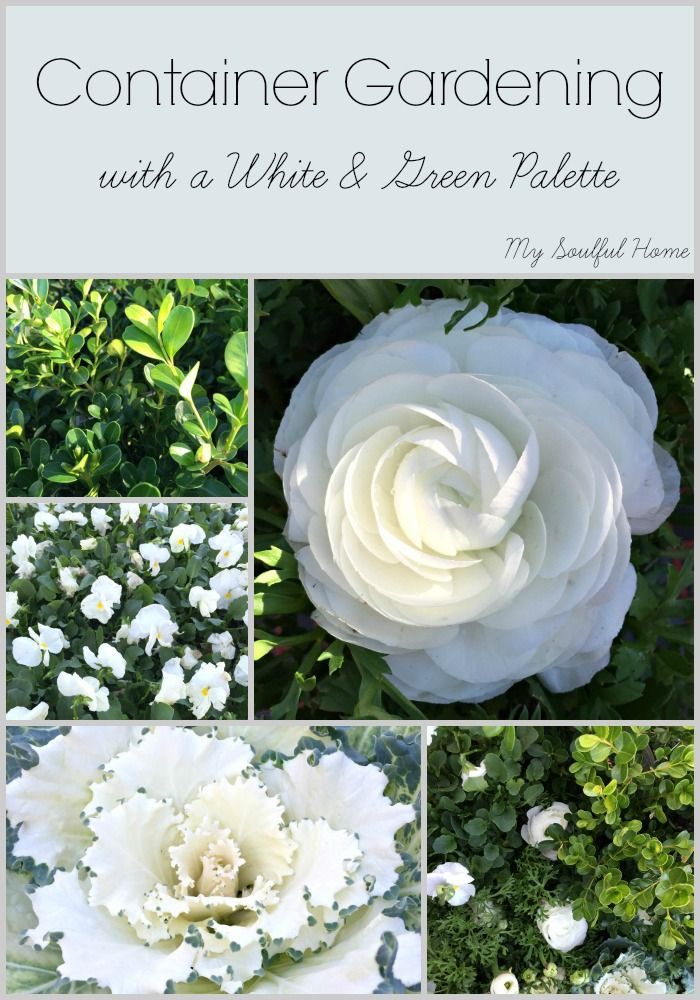 Container Garden- a white palette -   24 white garden pots
 ideas