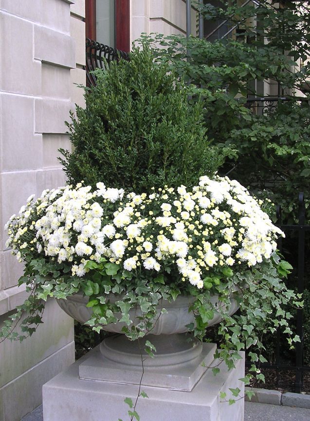 A Peek Into My Spring Garden -   24 white garden pots
 ideas