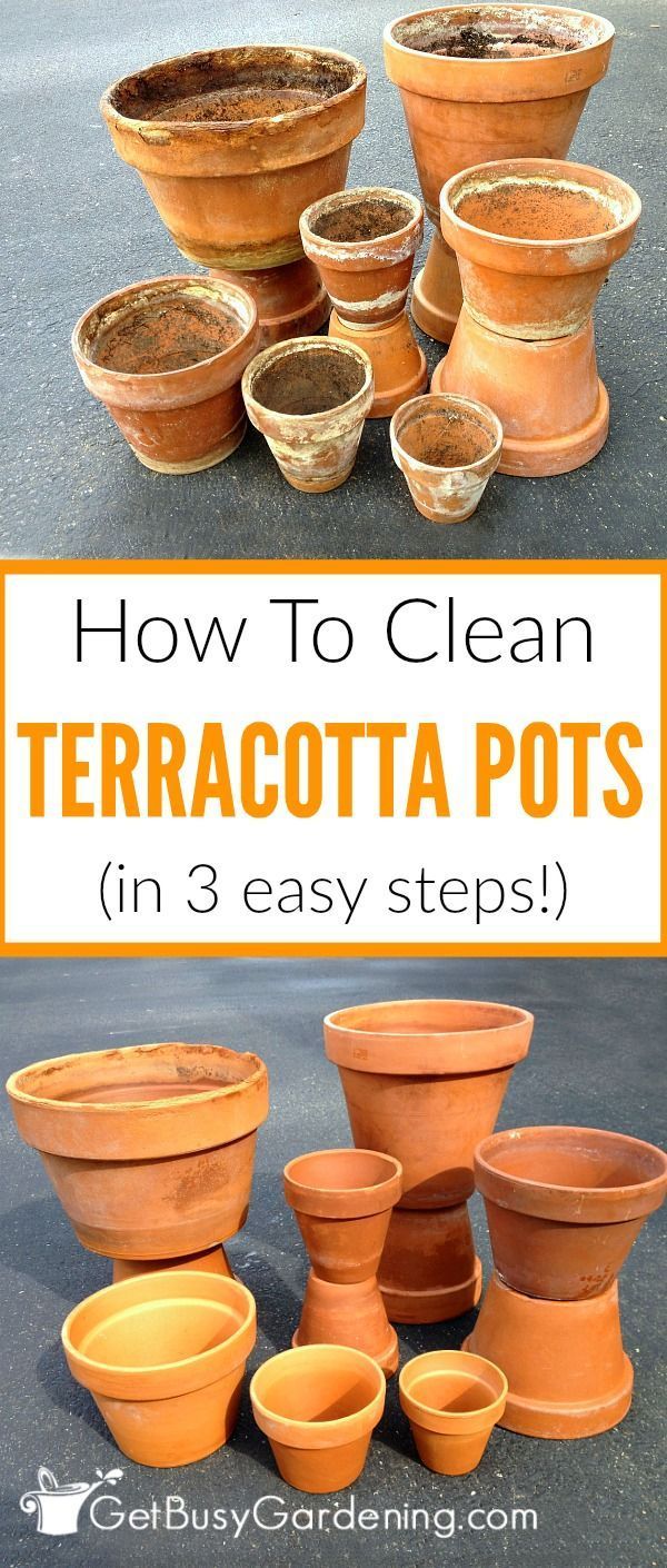 How To Clean Terracotta Pots (Clean Clay Pots In 3 Easy Steps!) -   24 white garden pots
 ideas