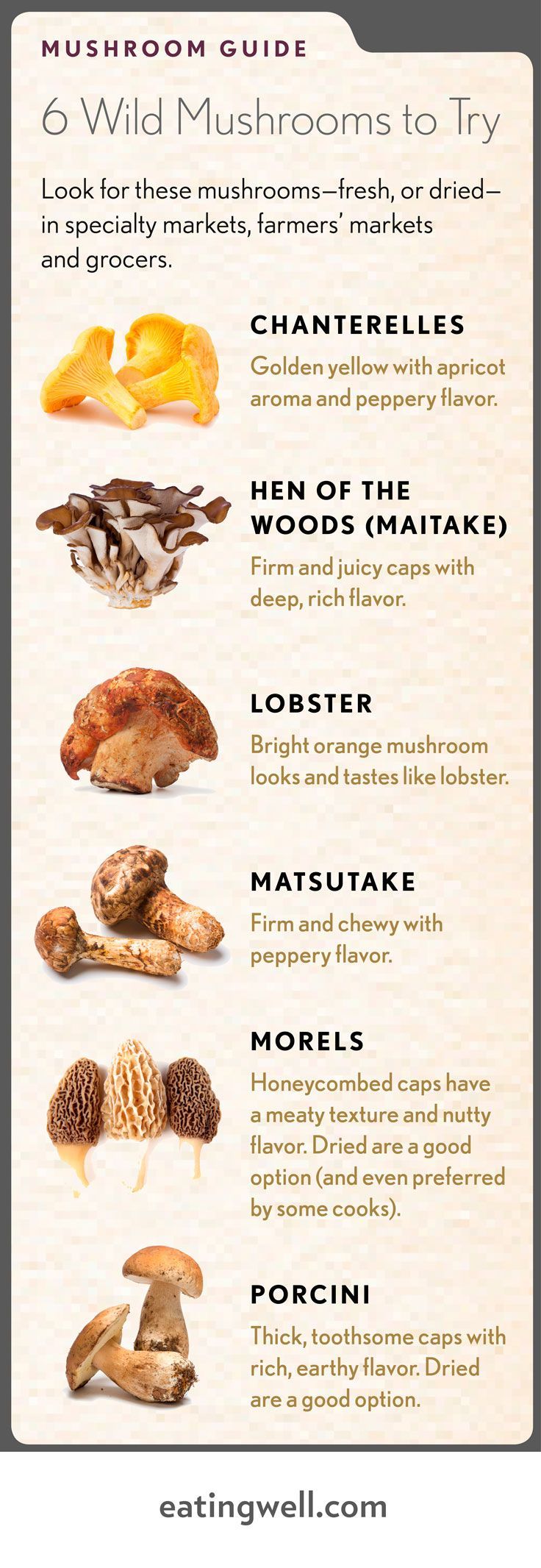 Our favorite wild mushrooms plus recipes. -   24 wild mushroom recipes
 ideas