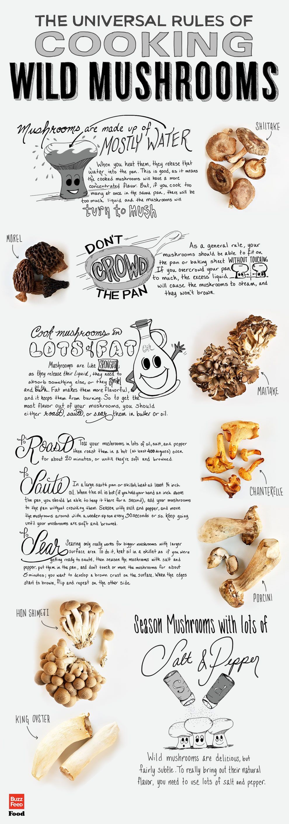 The Ultimate Infographic Of Wild Mushrooms -   24 wild mushroom recipes
 ideas