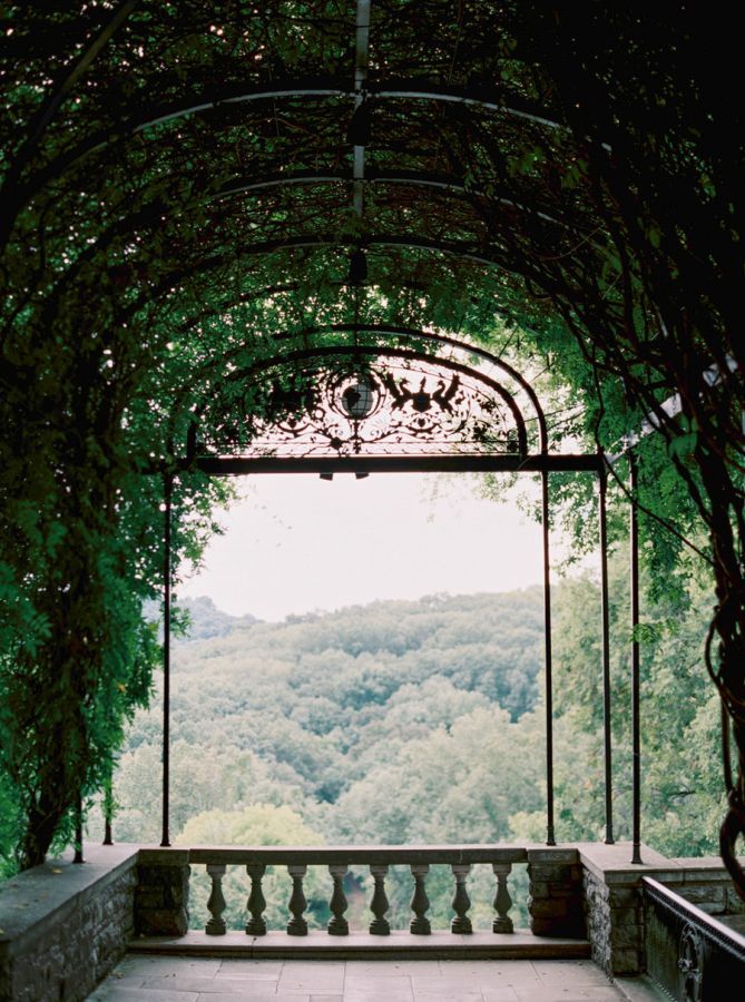 25 botanical garden wedding
 ideas