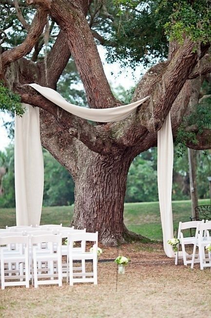 Top 20 Unique Wedding Backdrop Ideas -   25 cheap wedding decor
 ideas