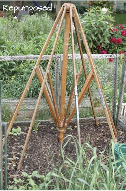 Take the fabric off an old outdoor table umbrella to transform it into a garden trellis. Wouldn't this look pretty as a trellis for a colorful clematis vine? -   25 garden trellis clematis
 ideas