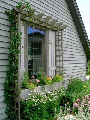 A mini pergola for around the window, a beautiful architectural support for training clematis or climbing roses. -   25 garden trellis clematis
 ideas