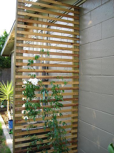 DIY Garden Trellis Projects -   25 garden trellis clematis
 ideas