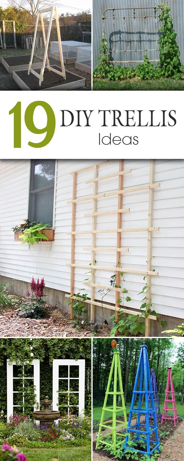 19 Awesome DIY Trellis Ideas For Your Garden -   25 garden trellis clematis
 ideas