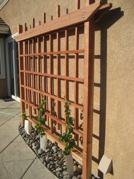 Could this be done indoors, covering a wall? You could put a window box planter at the bottom with vines growing up from it onto the trellis. You'd have to attach the top to the wall. -   25 garden trellis clematis
 ideas