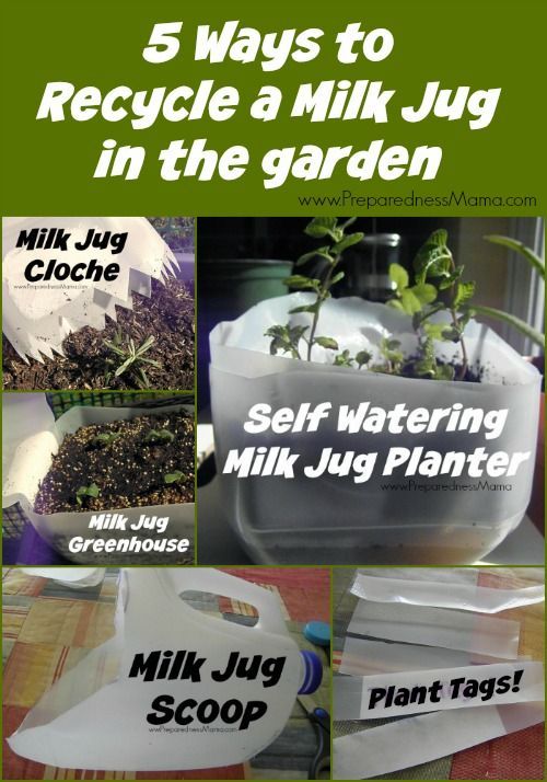 5 Ways to Recycle a Milk Jug in the Garden -   25 garden water milk jug ideas