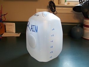 Milk jug rain collector -   25 garden water milk jug ideas