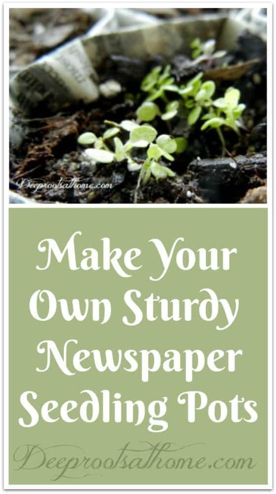 How To Make Your Own Funky Little Newspaper Seedling Pots -   21 funky garden pots
 ideas