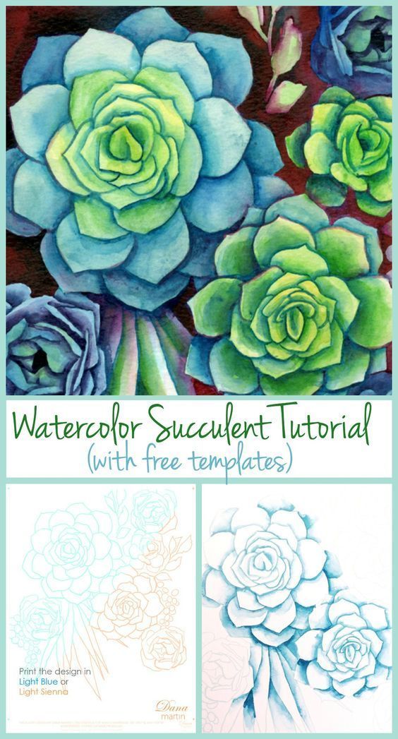 DIY Watercolor Succulents -   22 diy painting watercolor
 ideas
