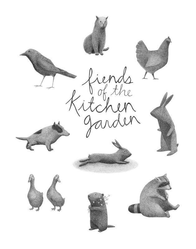 22 kitchen garden drawing
 ideas