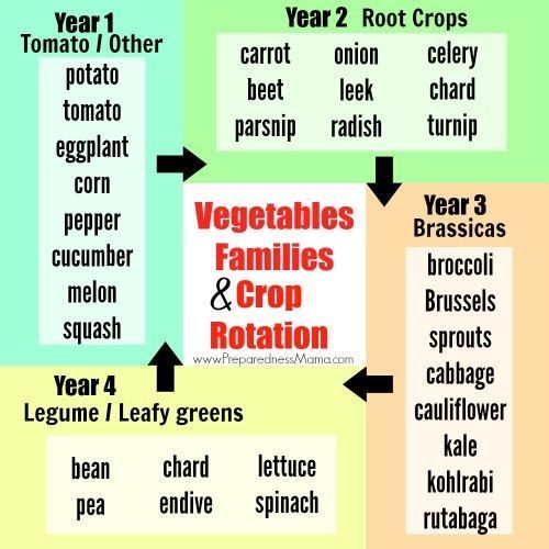 22 kitchen garden drawing
 ideas