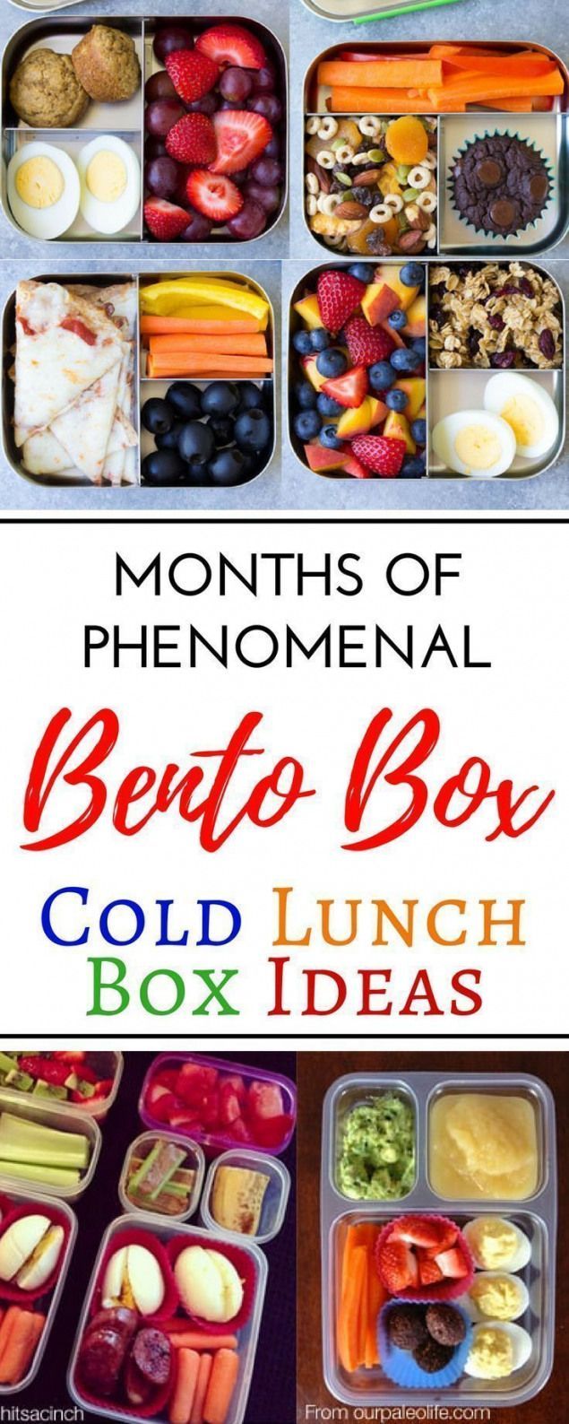 Over 100 easy recipes and school lunch ideas for kids and for teens! These cold no sandwich bento box recipes are perfect for picky eaters. With all these ideas for toddlers for adults and even for teenagers you are sure to please everyone in the family -   22 sandwich recipes for school
 ideas