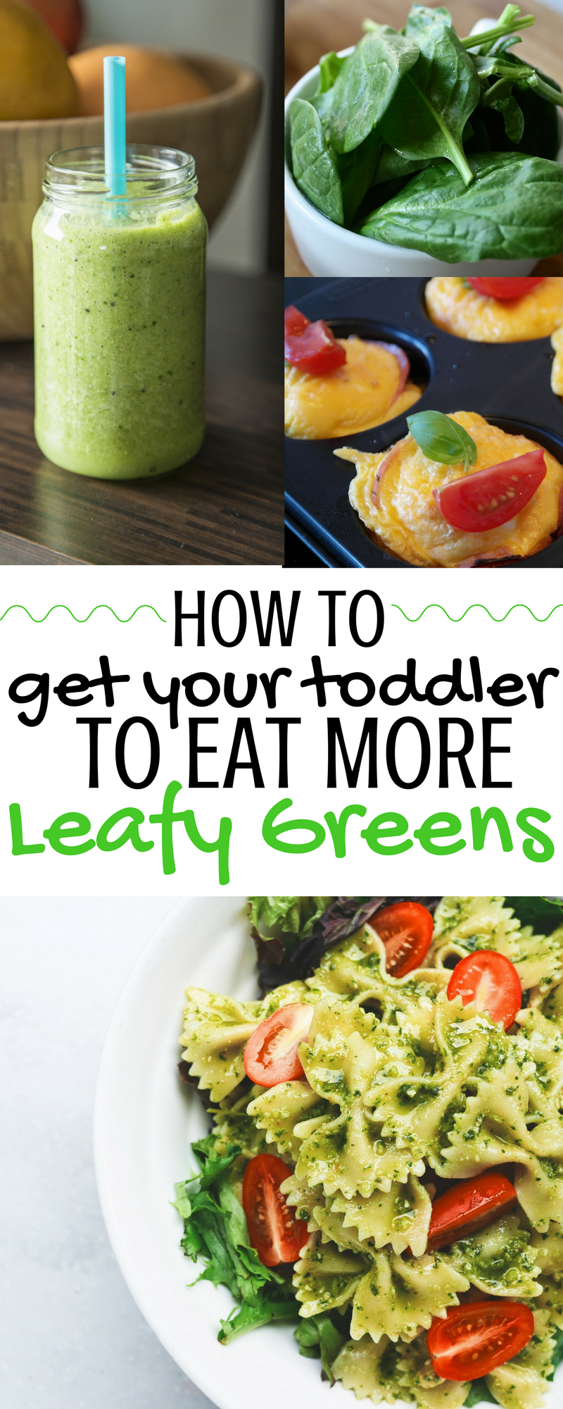 How to Get Your Toddler to Eat More Leafy Green Vegetables -   22 vegetable recipes for picky eaters
 ideas