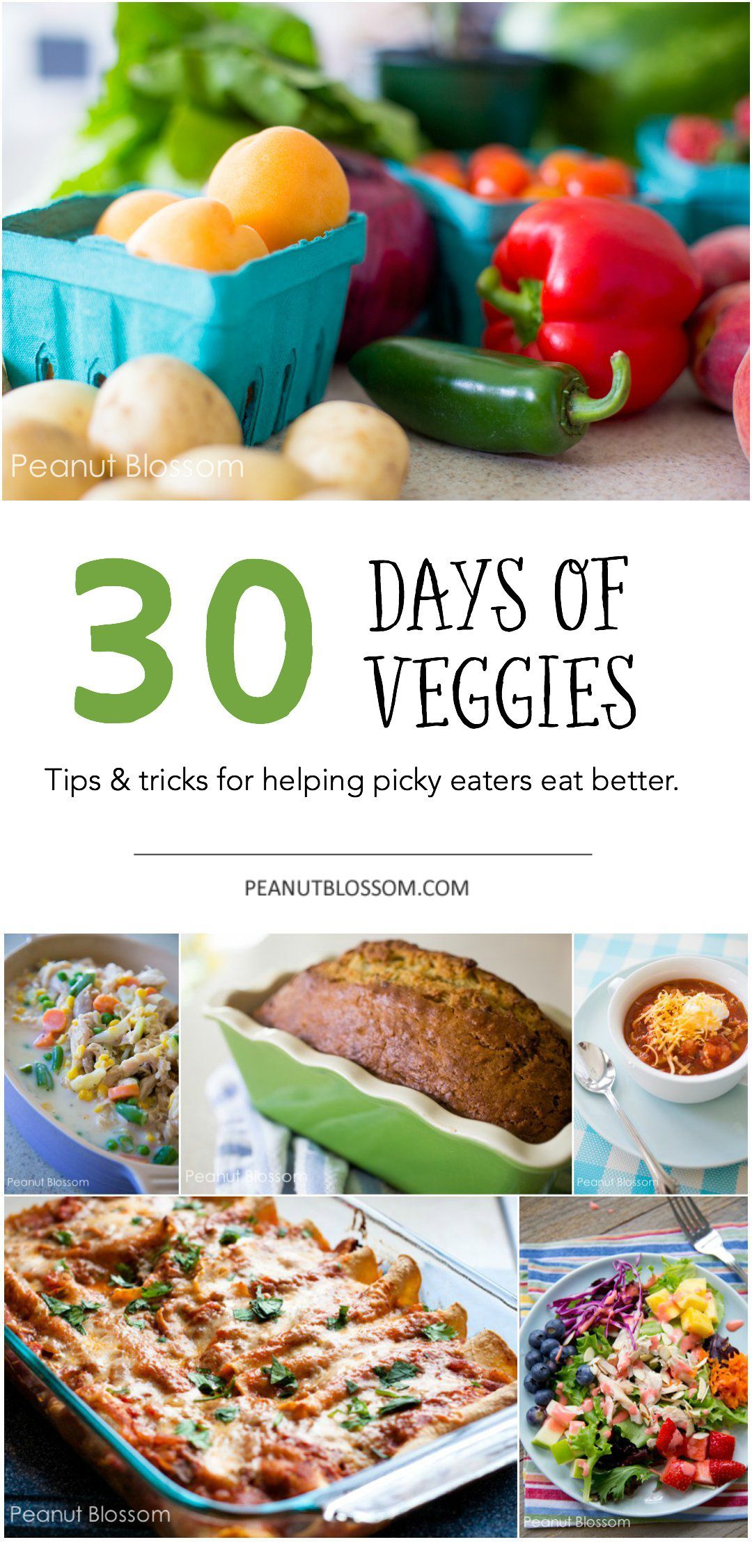 30 Days of Veggies: helping picky eaters eat better -   22 vegetable recipes for picky eaters
 ideas