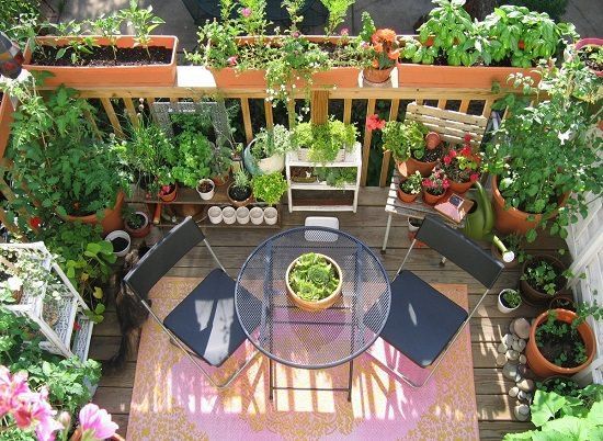 11 Deck Vegetable Garden Ideas To Grow More In Less Space -   23 beautiful balcony garden
 ideas